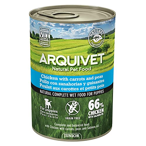 ARQUIVET Junior Huhn mit Karotten, Erbsen und Lachsöl, 400 g, Dose Nassfutter für Hunde, Welpen, alle Rassen, natürliches Futter für Hunde von Arquivet