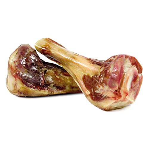 ARQUIVET Packung mit 12 Stück – 2 halbe Serrano-Schinkenknochen – natürliche Snacks für Hunde Aller Rassen – Preise, Belohnungen – Kauknochen für Hunde ARQUIVET Packung mit 12 Stück – 2 halbe Serrano-Schinkenknochen – natürliche Snacks für Hunde Aller Rassen – Preise, Belohnungen – Kauknochen für Hunde von Arquivet