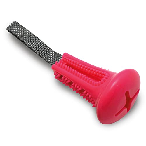 ARQUIVET Rosa Zahnbürste S mit Griffen - Spielzeug für alle Hunde - Hundezubehör zum Kauen - Kunststoffspielzeug zum Kauen - Spiele und Unterhaltung von Arquivet