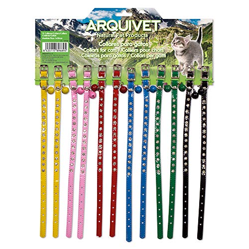 Arquivet 17550 Display 12 Halsbänder für Katzen von Arquivet