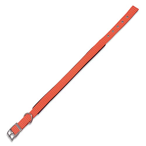Arquivet 17631 Halskette, Nylon, Orange, 1.5 x 38 cm Arquivet 17631 Halskette, Nylon, Orange, 1.5 x 38 cm von Arquivet