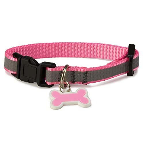 Arquivet Hundehalsband, reflektierend, Rosa, 1,6 x 25/35 cm von Arquivet