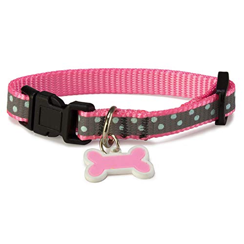 Arquivet 8435117802629 Halskette Hund Reflektierend Pink 1,9 x 35/50 cm Arquivet 8435117802629 Halskette Hund Reflektierend Pink 1,9 x 35/50 cm von Arquivet