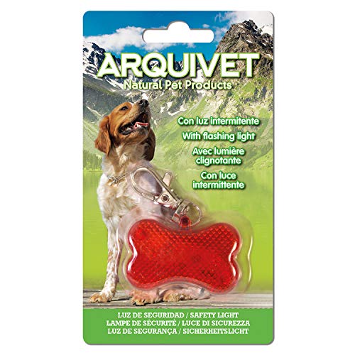 Arquivet 8435117813465 Flasher Knochen, 4,5 x 2 cm Arquivet 8435117813465 Flasher Knochen, 4,5 x 2 cm von Arquivet
