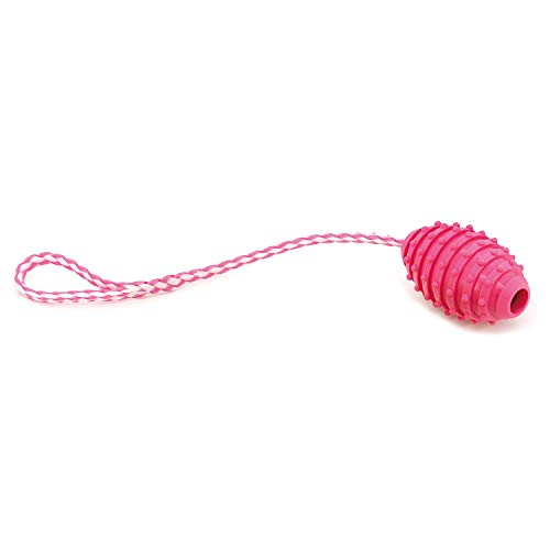 Arquivet Rosa Hundespielzeug mit thermoplastischem Griff für Hunde - 10 cm - Spielzeug für kleine und mittelgroße Hunderassen - Hundespielzeug - Hundespielzeug - Zugseil von Arquivet