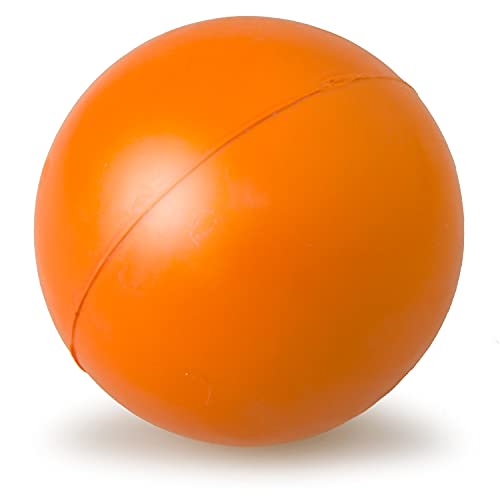 Arquivet Massivgummiball 6,5 cm - Spielzeug und Zubehör für Hunde - Unterhaltung und Hundetraining - Spielen Sie mit Ihrem Haustier Verbessern Sie die liebevolle Bindung Arquivet Massivgummiball 6,5 cm - Spielzeug und Zubehör für Hunde - Unterhaltung und Hundetraining - Spielen Sie mit Ihrem Haustier Verbessern Sie die liebevolle Bindung von Arquivet