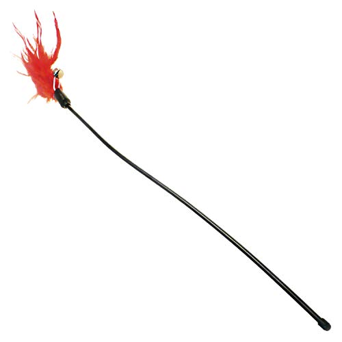 Arquivet 8435117840997 Stiel mit Federn, 50 cm Arquivet 8435117840997 Stiel mit Federn, 50 cm von Arquivet