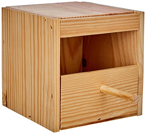 Arquivet Holznest für Isabeliten - 15 x 15 x 15 cm - Vogelhaus - Nest für Naturvögel - Vogelhäuser - Nestkasten - Zubehör Arquivet Holznest für Isabeliten - 15 x 15 x 15 cm - Vogelhaus - Nest für Naturvögel - Vogelhäuser - Nestkasten - Zubehör von Arquivet