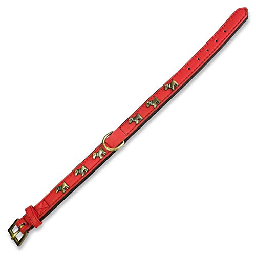 Arquivet 8435117885516 Halskette Leder, Rot Hund 1,5 x 35 cm von Arquivet