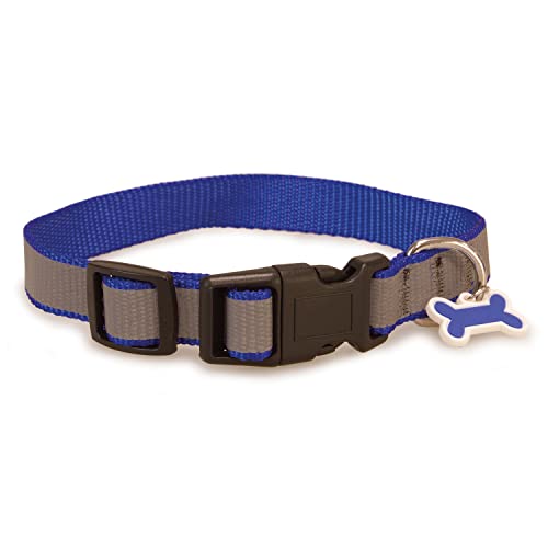 Arquivet 8435117885523 Halskette Reflektierende Hund blau 1 x 15/22 cm von Arquivet