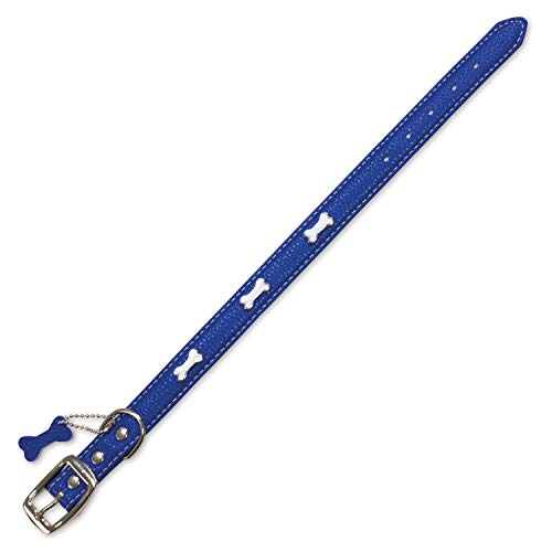 Arquivet 8435117895546 Halskette Leder huesitos blau 15 x 35 cm von Arquivet