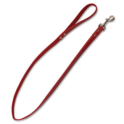 Arquivet 8435117895645 – Gurt Leder huesitos rote 2 x 120 cm Arquivet 8435117895645 – Gurt Leder huesitos rote 2 x 120 cm von Arquivet