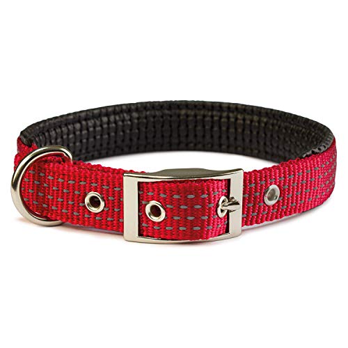 Arquivet Hundehalsband - Nylon glatt rot - 1,5 x 38 cm von Arquivet
