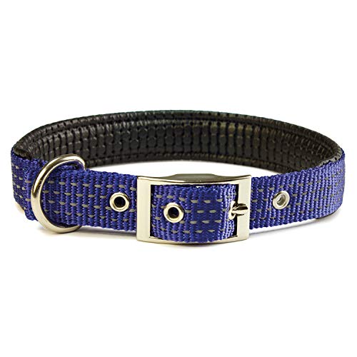 Arquivet Hundehalsband - Nylon glatt blau - 2 x 45 cm von Arquivet
