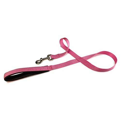 Arquivet 8435117896277 – Glatte Nylon Strap Rosa 25 x 120 cm von Arquivet