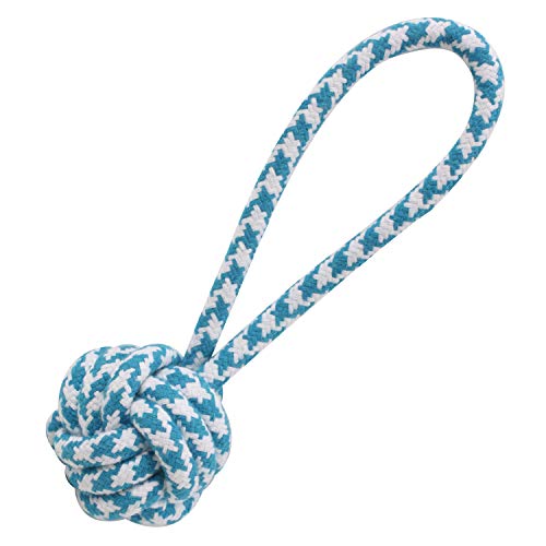 Arquivet Knoten mit blauem Griff, 20 cm für Hunde - Beißringe und Seile für Erwachsene Hunde und Welpen - Robustes Hundespielzeug für große Hunde von Arquivet