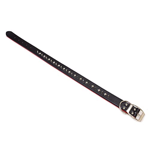 Arquivet Halskette aus reinem Leder, Schwarz, 4 x 75 cm, 8435117895522 Arquivet Halskette aus reinem Leder, Schwarz, 4 x 75 cm, 8435117895522 von Arquivet
