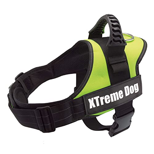 Arquivet Hundegeschirr Xtreme Dog - Neon Grün - Größe: XS/44-57 cm von Arquivet