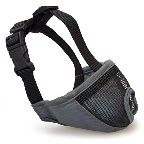 Arquivet Kurzschnauze Maulkorb für Hunde - Maulkorb für Hunde - atmungsaktiv und beißsicher - Polyester - Verschluss mit Kunststoffclip - Größe XS-S / 23 cm, Grau Arquivet Kurzschnauze Maulkorb für Hunde - Maulkorb für Hunde - atmungsaktiv und beißsicher - Polyester - Verschluss mit Kunststoffclip - Größe XS-S / 23 cm, Grau von Arquivet