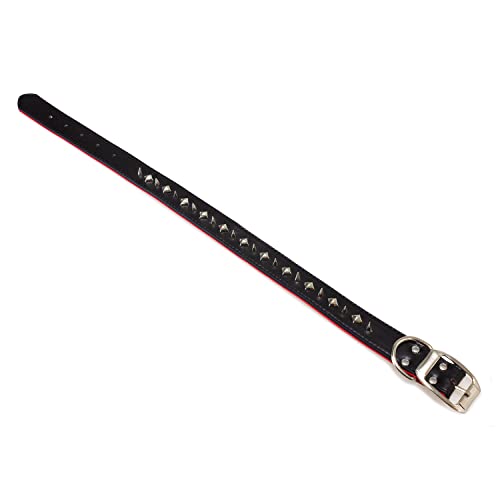 Arquivet Lederhalsband, Schwarz, 35 x 65 cm, 8435117895515 Arquivet Lederhalsband, Schwarz, 35 x 65 cm, 8435117895515 von Arquivet