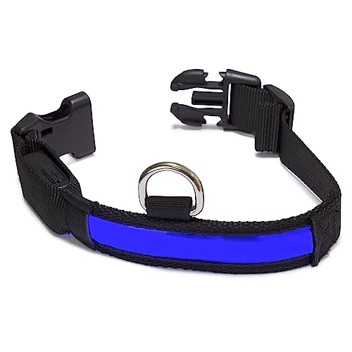 Arquivet - Leuchtendes Halsband für Hunde, LED, Blau, Größe M, 38 – 50 cm, 2,5 cm von Arquivet