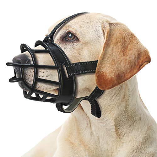 Arquivet Maulkorb aus Silikon, flexibel, für Hunde, für Hecheln, Trinken und Leckerlis, Größe M, Schwarz Arquivet Maulkorb aus Silikon, flexibel, für Hunde, für Hecheln, Trinken und Leckerlis, Größe M, Schwarz von Arquivet