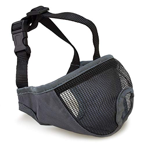Arquivet Maulkorb für Hunde mit kurzer Schnauze – atmungsaktiv und bissfest – Polyester – Verschluss mit Kunststoffclip – Größe S / 31 cm – Maulkorb für Hunde – Spezielle französische Bulldogge Arquivet Maulkorb für Hunde mit kurzer Schnauze – atmungsaktiv und bissfest – Polyester – Verschluss mit Kunststoffclip – Größe S / 31 cm – Maulkorb für Hunde – Spezielle französische Bulldogge von Arquivet