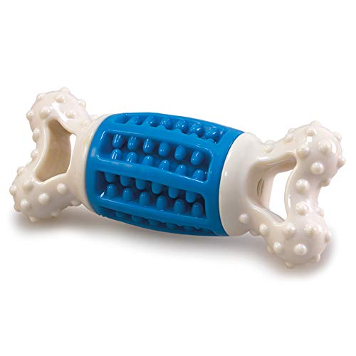 Arquivet Super robuster Zahnknochen Arquivet Super robuster Zahnknochen von Arquivet