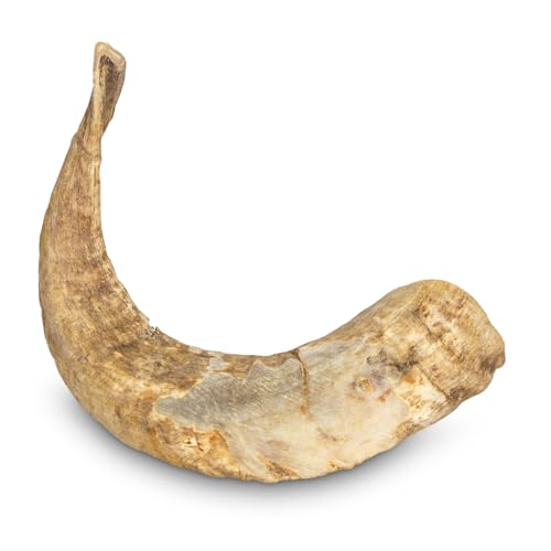 Kauspielzeug für Hunde aus Widderhorn, Größe M (<200 g) von Arquivet