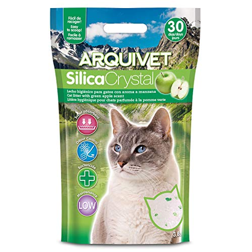 arquivet 8435117840201 – silicacrystal 3,8L Apfel Grün von Arquivet