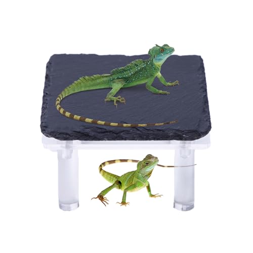 Arroopu Bartagamen Wärmeplatz Felsen - Versteckplatz Für Bartagamen Mit Acrylhalterung - Terrarium Zubehör Für Kletter- Und Sonnenbereich In Feuchtigkeitszonen Arroopu Bartagamen Wärmeplatz Felsen - Versteckplatz Für Bartagamen Mit Acrylhalterung - Terrarium Zubehör Für Kletter- Und Sonnenbereich In Feuchtigkeitszonen von Arroopu