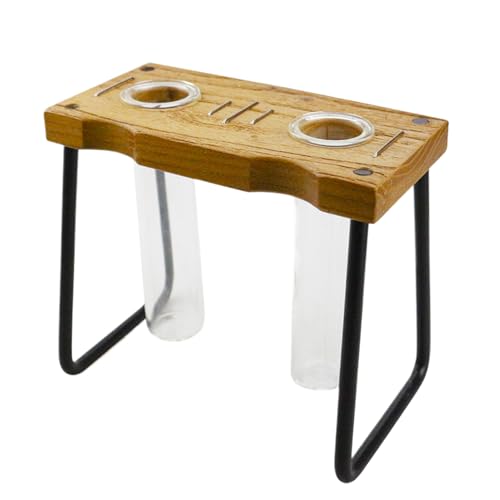 Arroopu Pflanzenterrarium | Tisch-Terrarium Mit Holzständer - Dekoratives Gartenzubehör & Wohnaccessoire für Schreibtisch, oder Fensterbank von Arroopu