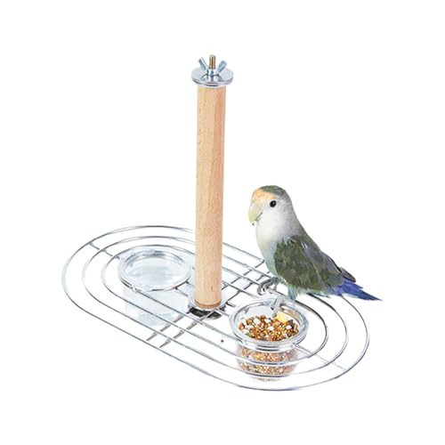 Arroopu Vogelschalen | -Sitzstange | Hängende Vogelschalen | Spielständer für Wellensittiche, Sittiche, Nymphensittiche, Graupapageien, Finken, Aras, Garten, Terrasse, Balkon Arroopu Vogelschalen | -Sitzstange | Hängende Vogelschalen | Spielständer für Wellensittiche, Sittiche, Nymphensittiche, Graupapageien, Finken, Aras, Garten, Terrasse, Balkon von Arroopu