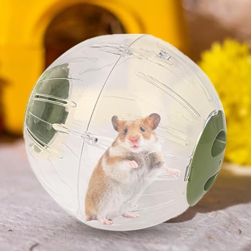18,5 x 18,5 x 18,5 cm transparenter Hamster-Trainingsball, Spielzeug, Laufrad, Tieraktivitätsspielzeug, Hamsterball, Hamster-Ball, Haustier-Mäuse, Rennmäuse, Laufrad, Spielzeug, Zwerghamsterball 18,5 x 18,5 x 18,5 cm transparenter Hamster-Trainingsball, Spielzeug, Laufrad, Tieraktivitätsspielzeug, Hamsterball, Hamster-Ball, Haustier-Mäuse, Rennmäuse, Laufrad, Spielzeug, Zwerghamsterball von Arrovarp