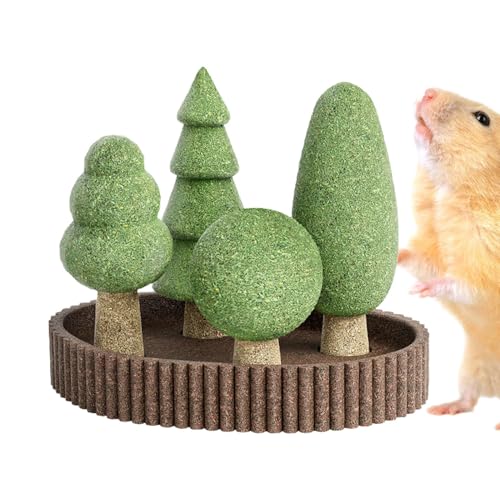 Arrovarp Hamster-Kauspielzeug – Haustier-Hamster-Kauspielzeug mit Dschungel-Thema – Zahnpflege-Begleiter, Lebensraum-Dekoration zur Beruhigung von Chinchilla, Eichhörnchen, Rennmaus Arrovarp Hamster-Kauspielzeug – Haustier-Hamster-Kauspielzeug mit Dschungel-Thema – Zahnpflege-Begleiter, Lebensraum-Dekoration zur Beruhigung von Chinchilla, Eichhörnchen, Rennmaus von Arrovarp
