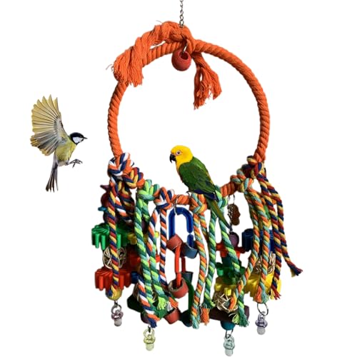 Arrovarp Sittichschaukel | bunter Ring, Vogelschaukel, Nymphensittich, Spielzeug, Haustierbedarf, Kauspiele für Übungen, , Finken, Lovebirds Kanarienvögel, Spielen, Klettern, Langeweile Arrovarp Sittichschaukel | bunter Ring, Vogelschaukel, Nymphensittich, Spielzeug, Haustierbedarf, Kauspiele für Übungen, , Finken, Lovebirds Kanarienvögel, Spielen, Klettern, Langeweile von Arrovarp