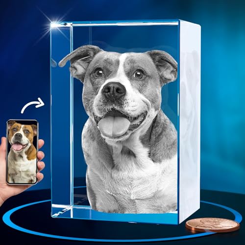 ArtPix 3D Kristallfoto, personalisiertes Hunde-Gedenkgeschenk mit eigenem Foto für Hundeliebhaber, Haustierbesitzer, 3D-Lasergravur, gravierter Kristall in Erinnerung an den Hund, personalisierte ArtPix 3D Kristallfoto, personalisiertes Hunde-Gedenkgeschenk mit eigenem Foto für Hundeliebhaber, Haustierbesitzer, 3D-Lasergravur, gravierter Kristall in Erinnerung an den Hund, personalisierte von ArtPix 3D