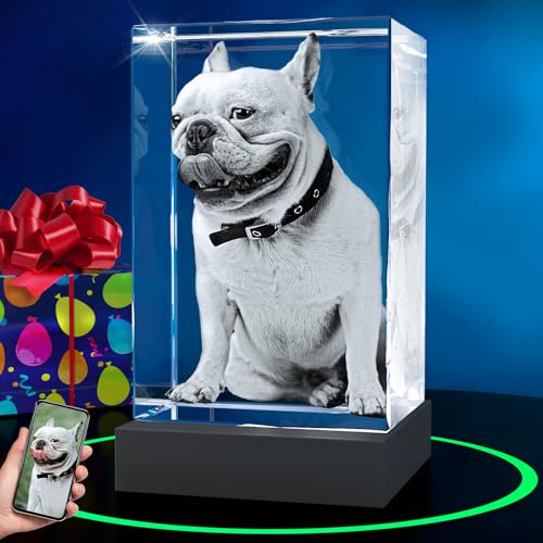 ArtPix 3D Premium-Kristallfoto, personalisierte Gedenkgeschenke mit eigenem Foto für Haustierbesitzer, 3D-Lasergravur, gravierter Kristall in Erinnerung an den Hund, individuelle Geschenke ArtPix 3D Premium-Kristallfoto, personalisierte Gedenkgeschenke mit eigenem Foto für Haustierbesitzer, 3D-Lasergravur, gravierter Kristall in Erinnerung an den Hund, individuelle Geschenke von ArtPix 3D