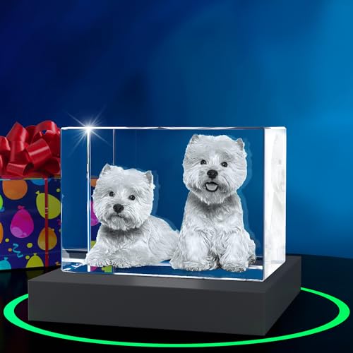 ArtPix 3D Premium-Kristallfoto, personalisierte Gedenkgeschenke mit eigenem Foto für Haustierbesitzer, 3D-Lasergravur, gravierter Kristall in Erinnerung an den Hund, individuelle Geschenke ArtPix 3D Premium-Kristallfoto, personalisierte Gedenkgeschenke mit eigenem Foto für Haustierbesitzer, 3D-Lasergravur, gravierter Kristall in Erinnerung an den Hund, individuelle Geschenke von ArtPix 3D