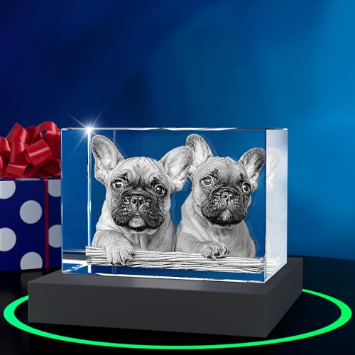 ArtPix 3D Premium-Kristallfoto, personalisiertes Hunde-Gedenkgeschenk mit eigenem Foto für Haustierbesitzer, 3D-Lasergravur, gravierter Kristall in Erinnerung an den Hund, individuelles Geschenk ArtPix 3D Premium-Kristallfoto, personalisiertes Hunde-Gedenkgeschenk mit eigenem Foto für Haustierbesitzer, 3D-Lasergravur, gravierter Kristall in Erinnerung an den Hund, individuelles Geschenk von ArtPix 3D