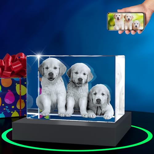 ArtPix 3D Premium-Kristallfoto, personalisiertes Hunde-Gedenkgeschenk mit eigenem Foto für Hundeliebhaber, Tierbesitzer, 3D-Lasergravur, gravierter Kristall in Erinnerung an den Hund, individuelle ArtPix 3D Premium-Kristallfoto, personalisiertes Hunde-Gedenkgeschenk mit eigenem Foto für Hundeliebhaber, Tierbesitzer, 3D-Lasergravur, gravierter Kristall in Erinnerung an den Hund, individuelle von ArtPix 3D