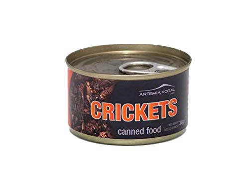 Artemia Konservierte Grillen Klein Canned Crickets Small 34 g Dose 15171 (2-TLG.Set) von Artemia