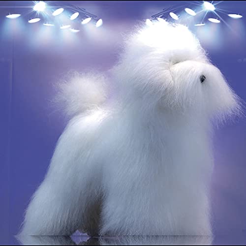 ARTERO POSTIZO Virtual Dog Toy Poodle (NDR) von Artero