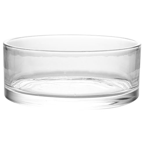 Artibetter Schale Terrarium Sukkulenten Pflanzgefäß: Blumenglasvase Luftpflanze Display Dekorativer Tafelaufsatz Blumenbehälter Fischschale für Zuhause Hochzeit 20 x 20 cm von Artibetter