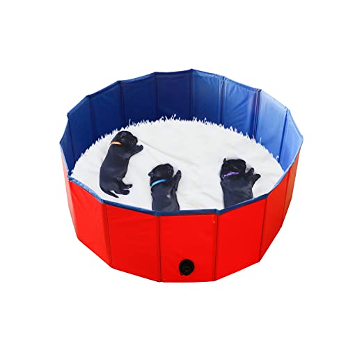 Artilife Tragbare, zusammenklappbare, auslaufsichere Schwimmwanne, zusammenklappbare Badewanne, zum Schwimmen und Rutschen, faltbarer Hunde-Bad, Haustier-Becken, für Hunde (80 x 30 cm) von Artilife