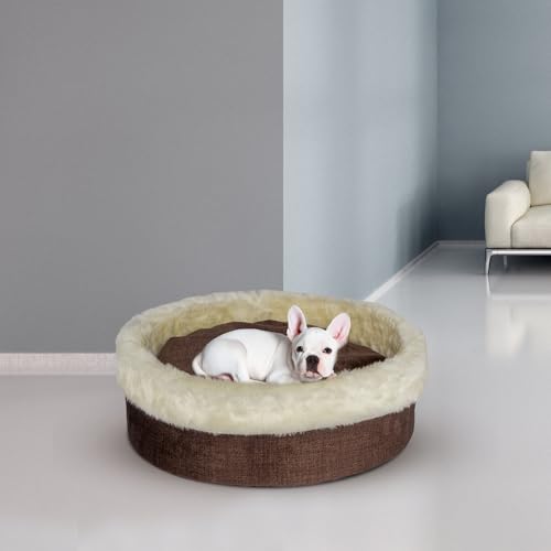 Artistry Home Kuscheliges Haustierbett aus Schaumstoff, ultraweich, rutschfeste Unterseite, waschbares Kissen, braunes Schlafsofa für kleine Hunde und Katzen Artistry Home Kuscheliges Haustierbett aus Schaumstoff, ultraweich, rutschfeste Unterseite, waschbares Kissen, braunes Schlafsofa für kleine Hunde und Katzen von Artistry Home