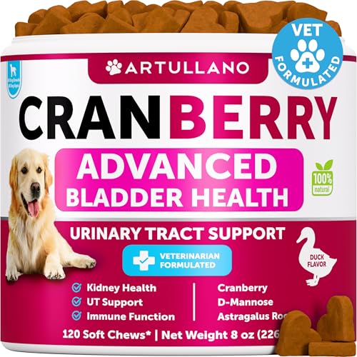 Cranberry Kauspielzeug für Hunde Cranberry Kauspielzeug für Hunde von Artullano
