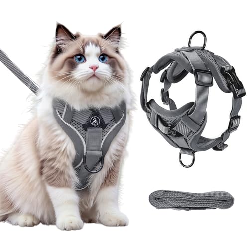 Arvoni Katzengeschirr Mit Leine Ausbruchsicher, Verstellbares Katzenleine mit Geschirr Für Katzen, Katzen Set mit Leine, Weiches und Atmungsaktives Katze für Maine Coon,Perser (Grau) von Arvoni