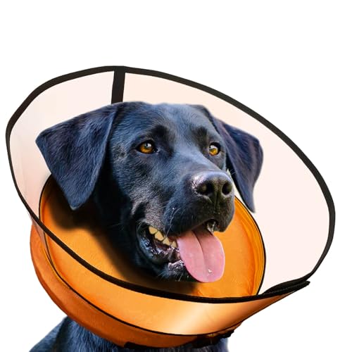 Aschpas® 2 IN 1 Aufblasbare Halskrause Hund mit Trichter, Leckschutz Hund nach OP, Dog Cone, Halskrause Katze, Hunde Donut [Size 6] von Aschpas