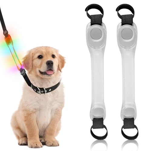 2 Stück LED Leuchtband für Hunde, USB Aufladbar LED Leuchthalsband Blinklicht mit Klettverschluss Leuchtbänder, Einfach an Halsband Leine Geschirr zu Befestigen Wasserdicht Outdoor (Bunt) von Asfrode